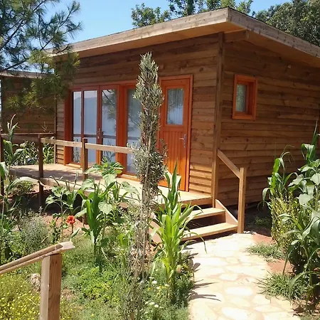 Kabak Avalon 롯지