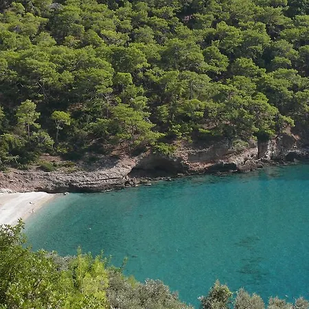 Kabak Avalon 파랄리아
